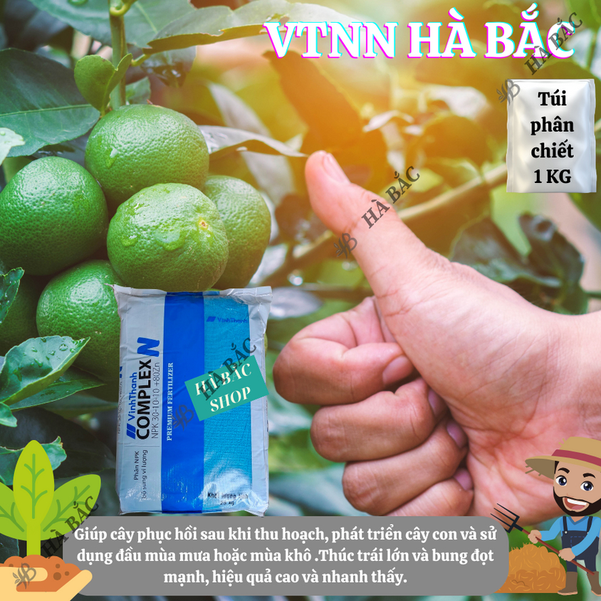 Phân NPK XANH 30-10-10 + 80Zn Túi 1kg (bán lẻ)  - Giúp xanh cây, tốt lá, đâm tược mạnh, phát triển thân cành