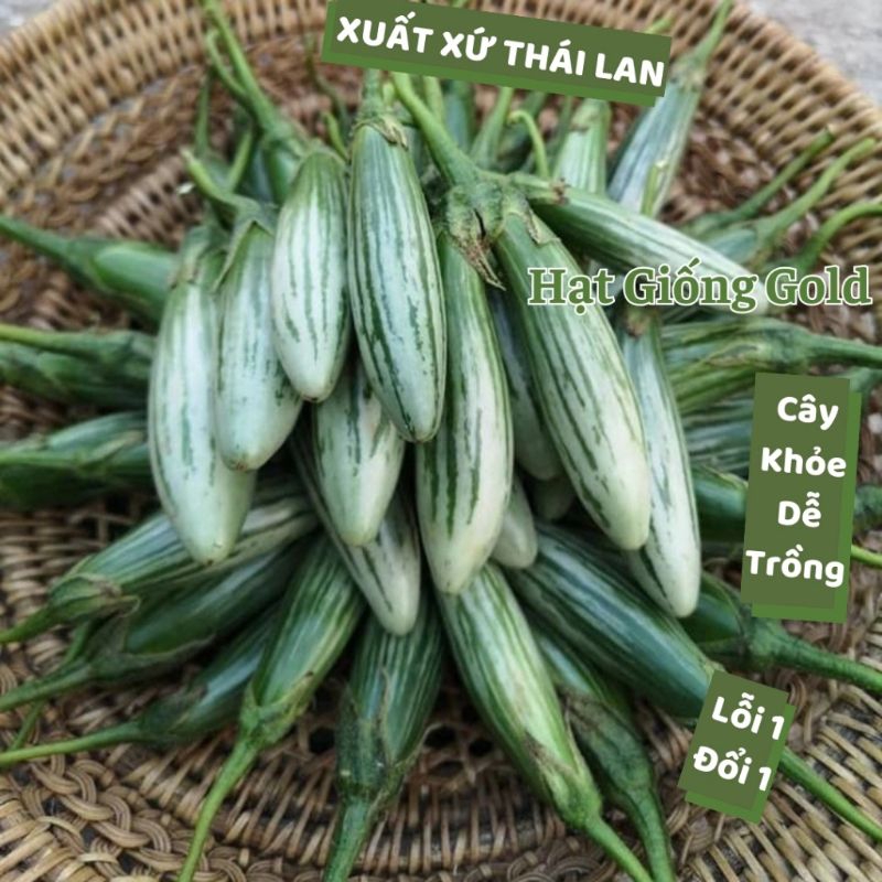 Hạt Giống Cà Ngọt  Sọc Thái OVan Nhập Khẩu💯 Ăn Cực Ngon💥  Rất Đáng Trồng