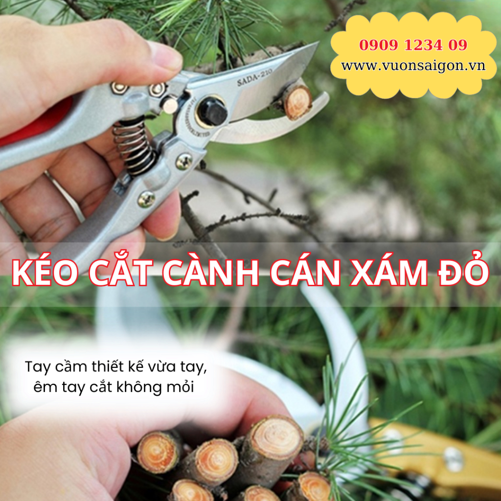 Kéo cắt cành cong các loại (Licota, Wynn's, Sk5 Top, C-mart, LS+...) 7