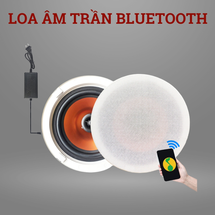 Bộ loa âm trần bluetooth 30W bass sâu tresst sáng dành cho spa, cafe, nhà hàng, cửa hàng quần áo, văn phòng