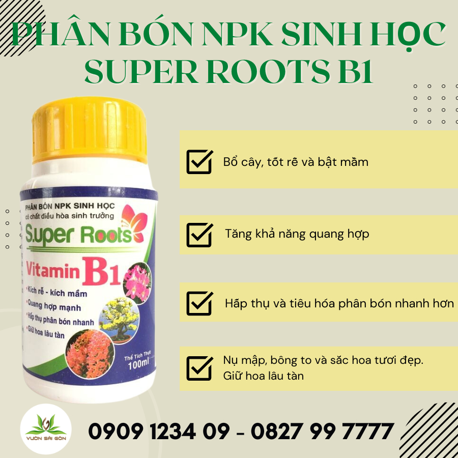 Thuốc kích rễ Super roots Vitamin B1 chai 100ml 2