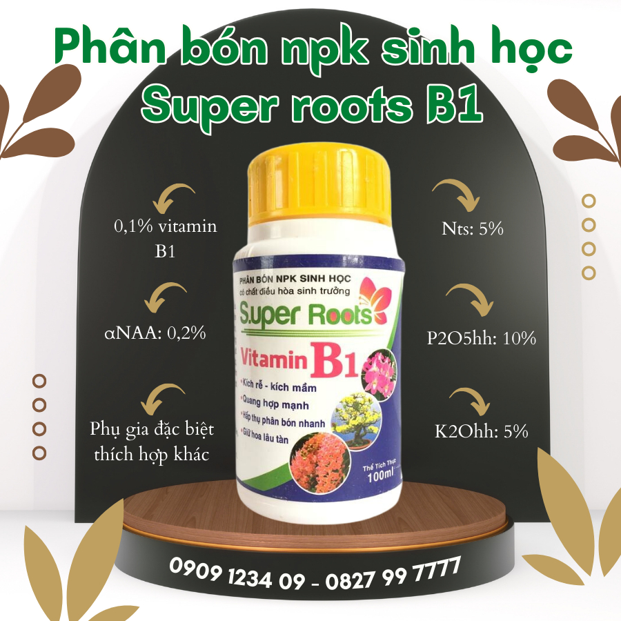 Thuốc kích rễ Super roots Vitamin B1 chai 100ml 1