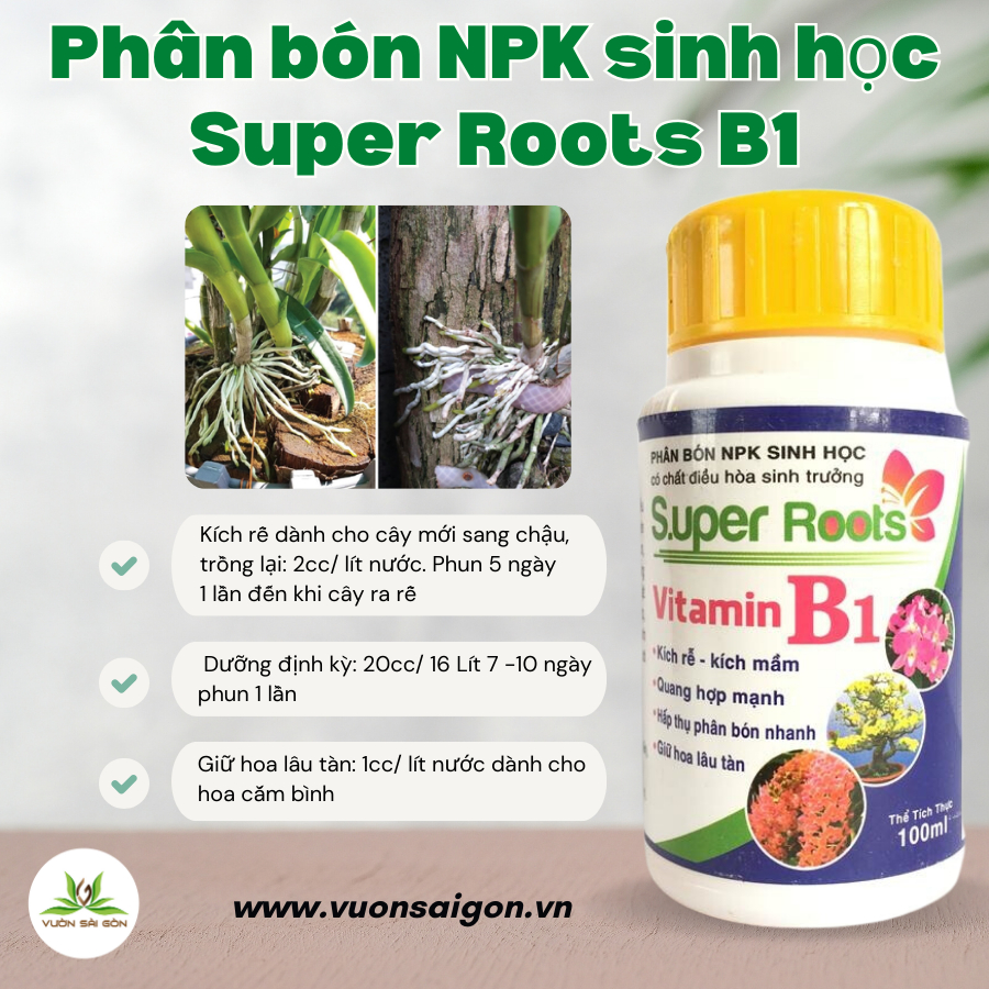 Thuốc kích rễ Super roots Vitamin B1 chai 100ml 3