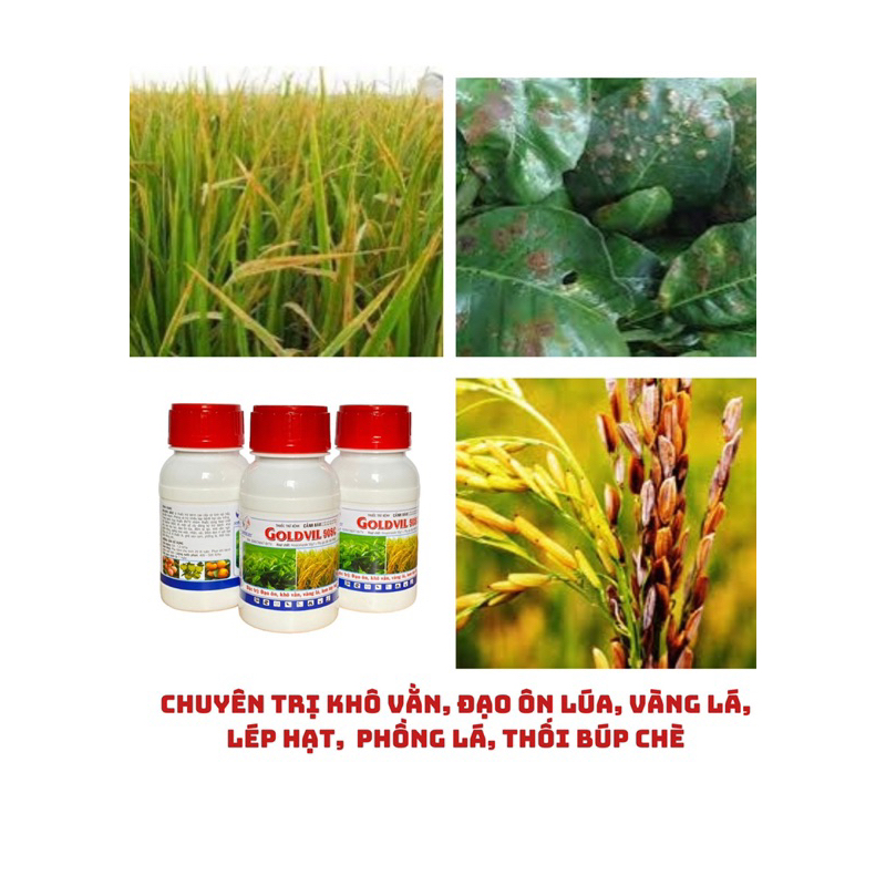Chuyên trị khô vằn, đạo ôn lúa, vàng lá, lép hạt lúa, phồng lá, thối ...