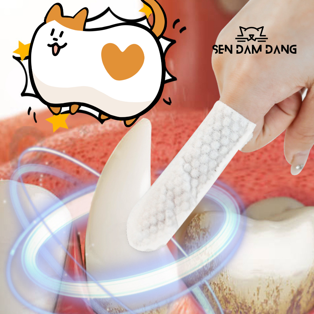 Khăn Ướt Vệ Sinh Tai, Răng, Mắt, Chân Cho Cún Mèo