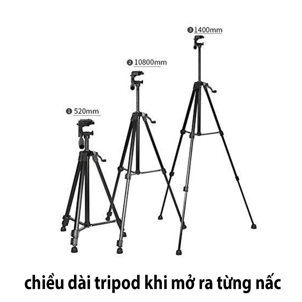 Gậy 3 chân, Giá đỡ Điện Thoại, Trippod 3366 Có Tay Cầm Quay Phim Cao 1m40