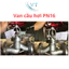 Van cầu hơi PN16 inox 304, đủ size DN50 - DN65 - DN80 - DN100
