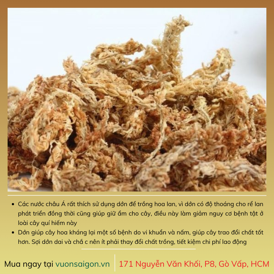 Dớn trắng Chile trồng lan - gói 100g 4