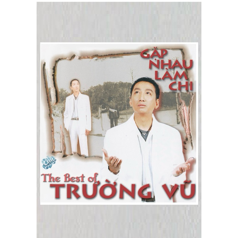 Băng Cassette Gặp Nhau Làm Chi - Trường Vũ
