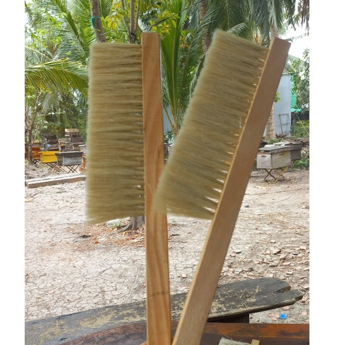 Chổi quét ong khi lấy mật