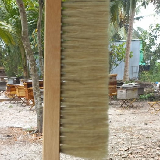 Chổi quét ong khi lấy mật