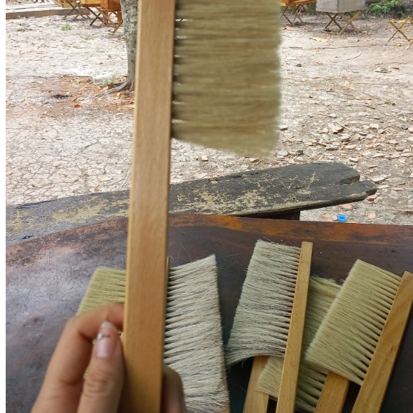 Chổi quét ong khi lấy mật