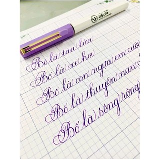 Bút máy luyện chữ lá tre Leta 386 - tự tạo thanh đậm - hàng chính hãng
