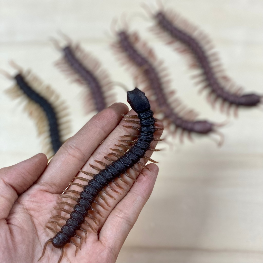 Đồ Chơi Mô Hình Con Rết Cao Su Dẻo | Shopee Việt Nam