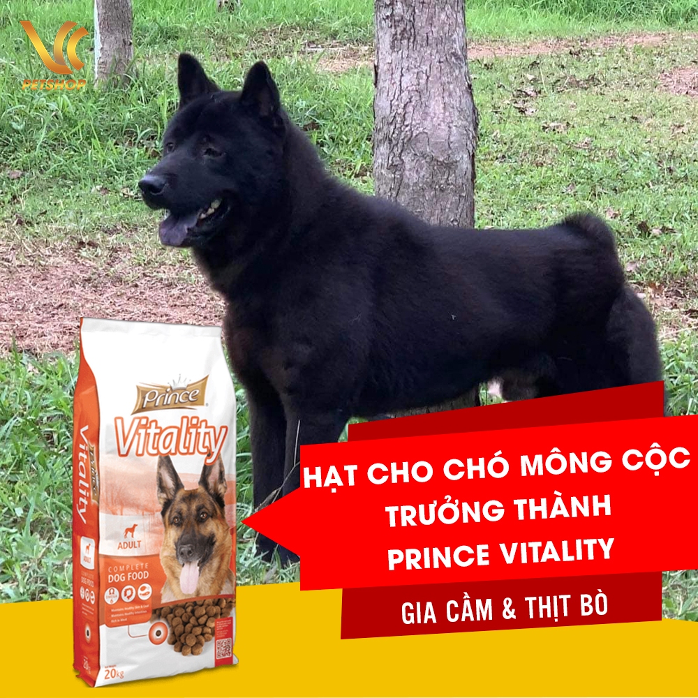 4. Những Lưu Ý Khi Chọn Thức Ăn