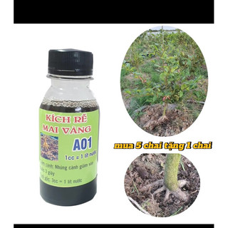 kích rễ cây trồng cây cảnh cực mạnh A01 - sắp đế