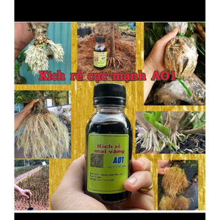 kích rễ cực mạnh A01 - sắp đế