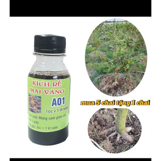 kích rễ cực mạnh A01 - sắp đế