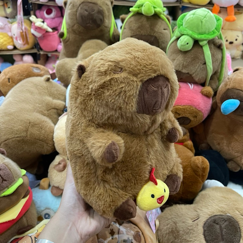 Gấu bông Capybara chuột lang nước, capybara chảy mũi, capybara balo rùa ...