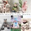 Bộ bodysuit cover ikii các loại CON VẬT kèm mũ tặng tất/ vớ cho bé sơ sinh, bé trai, bé gái HÀN QUỐC