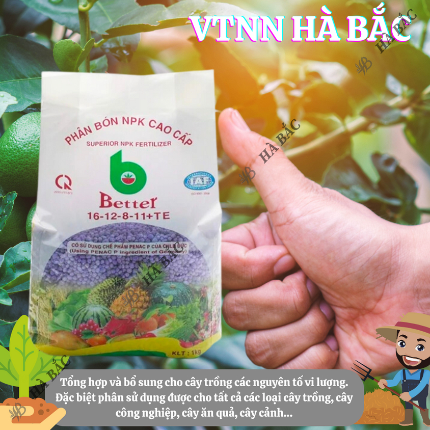 Phân bón NPK Better Xanh (12-12-17-6S+TE) và NPK Tím (16-12-8 11+TE)  (1KG), dùng cho mọi giai đoạn phát triển của cây
