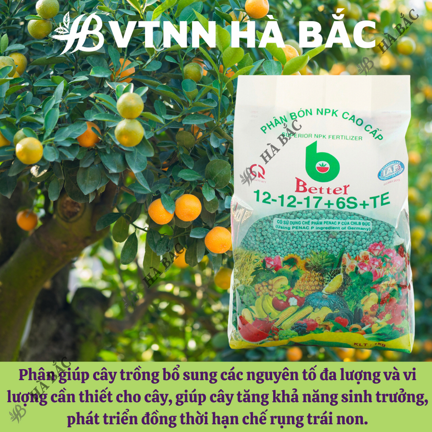 Phân bón NPK Better Xanh (12-12-17-6S+TE) và NPK Tím (16-12-8 11+TE)  (1KG), dùng cho mọi giai đoạn phát triển của cây