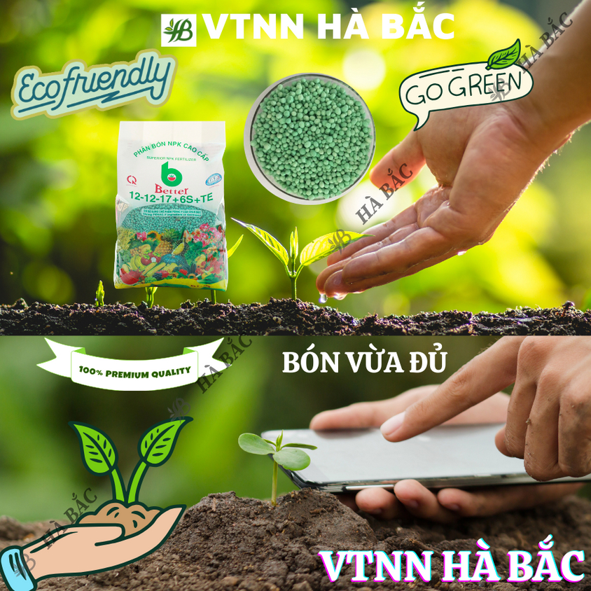 Phân bón NPK Better Xanh (12-12-17-6S+TE) và NPK Tím (16-12-8 11+TE)  (1KG), dùng cho mọi giai đoạn phát triển của cây