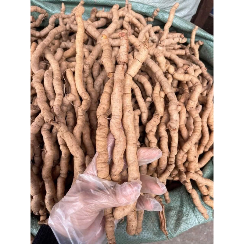 Ba kích tím Quảng Ninh (Nguyên củ) Hàng A1 (1kg)