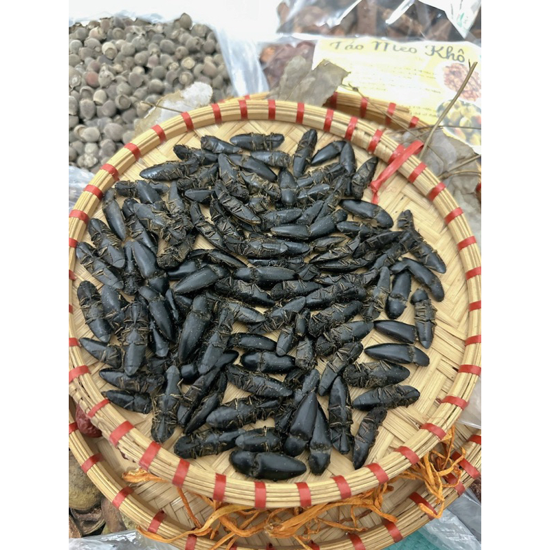 Bổ củi rừng khô Tây Bắc ngâm rượu giúp bổ thận, tráng dương(Tặng kèm táo đỏ ,kỷ tử)10con