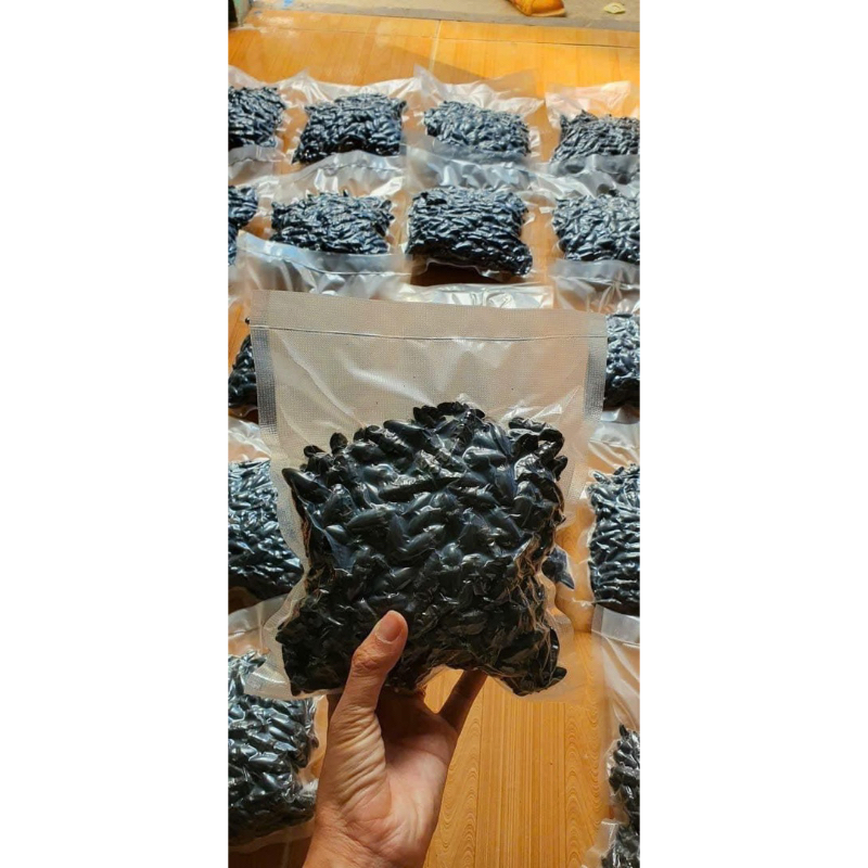 Bổ củi rừng khô Tây Bắc ngâm rượu giúp bổ thận, tráng dương(Tặng kèm táo đỏ ,kỷ tử)10con