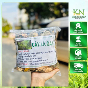 Cây Lá Gan hỗ trợ men gan, sơ gan, gan mỡ, giải độc( 1kg chia 10 gói tiện lợi )