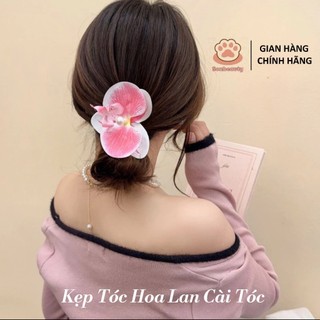 Kẹp Tóc Hoa Phong Lan Nhiều Màu Xinh