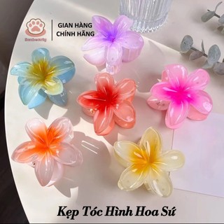 Kẹp Tóc Hoa Sứ Nhiều Màu Xinh Xắn