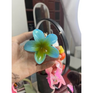 Kẹp Tóc Hoa Sứ Nhiều Màu Xinh Xắn