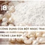 Bột Mặt Nạ Dẻo Ngọc Trai Nguyên Chất - Mặt Nạ Trắng Da Gói 500g 1000g