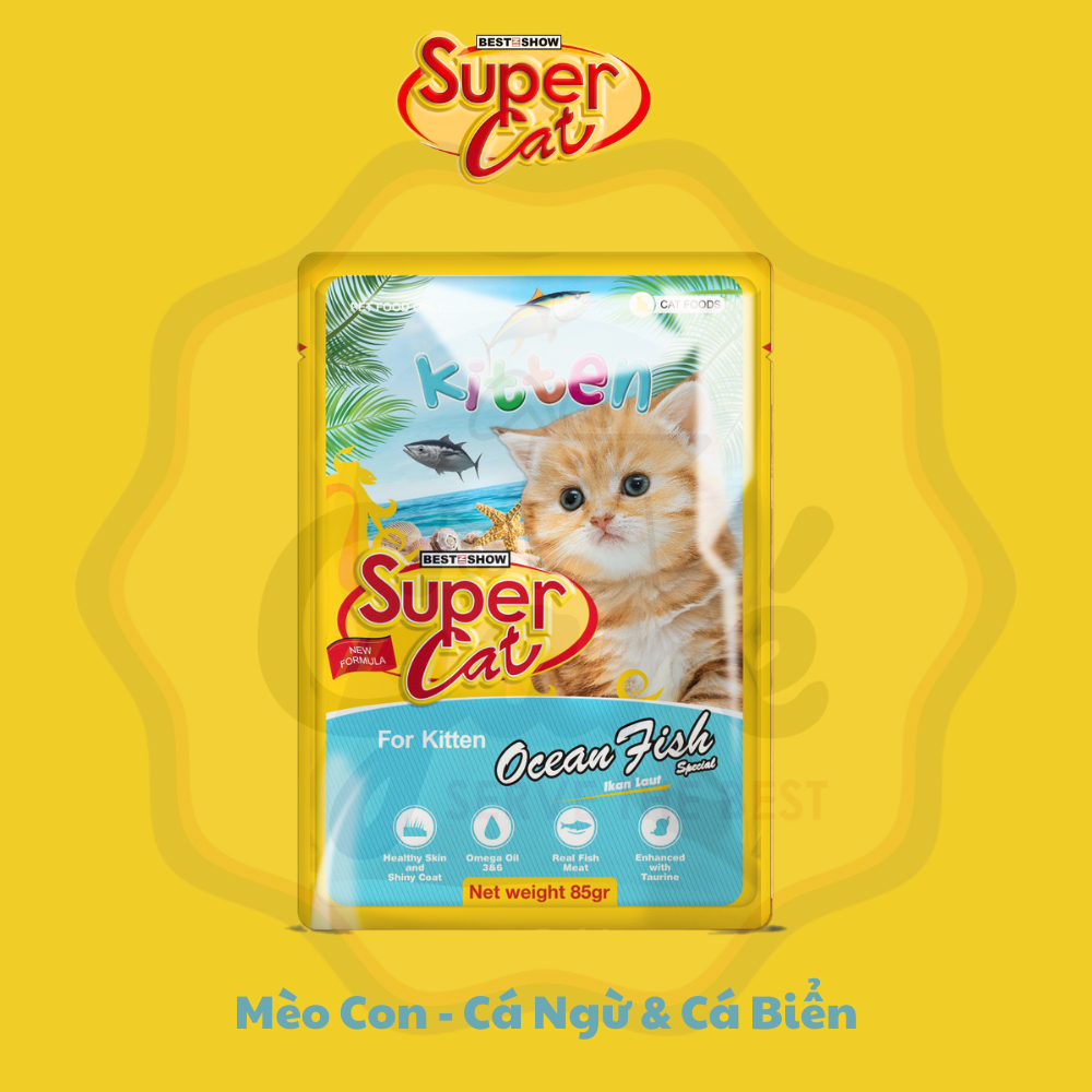 Pate Super Cat cho Mèo lớn Mèo con từ Cá Ngừ Cá Biển Thịt Gà bổ sung  Taurine Best Show Wet Food for Kitten Cat Garé
