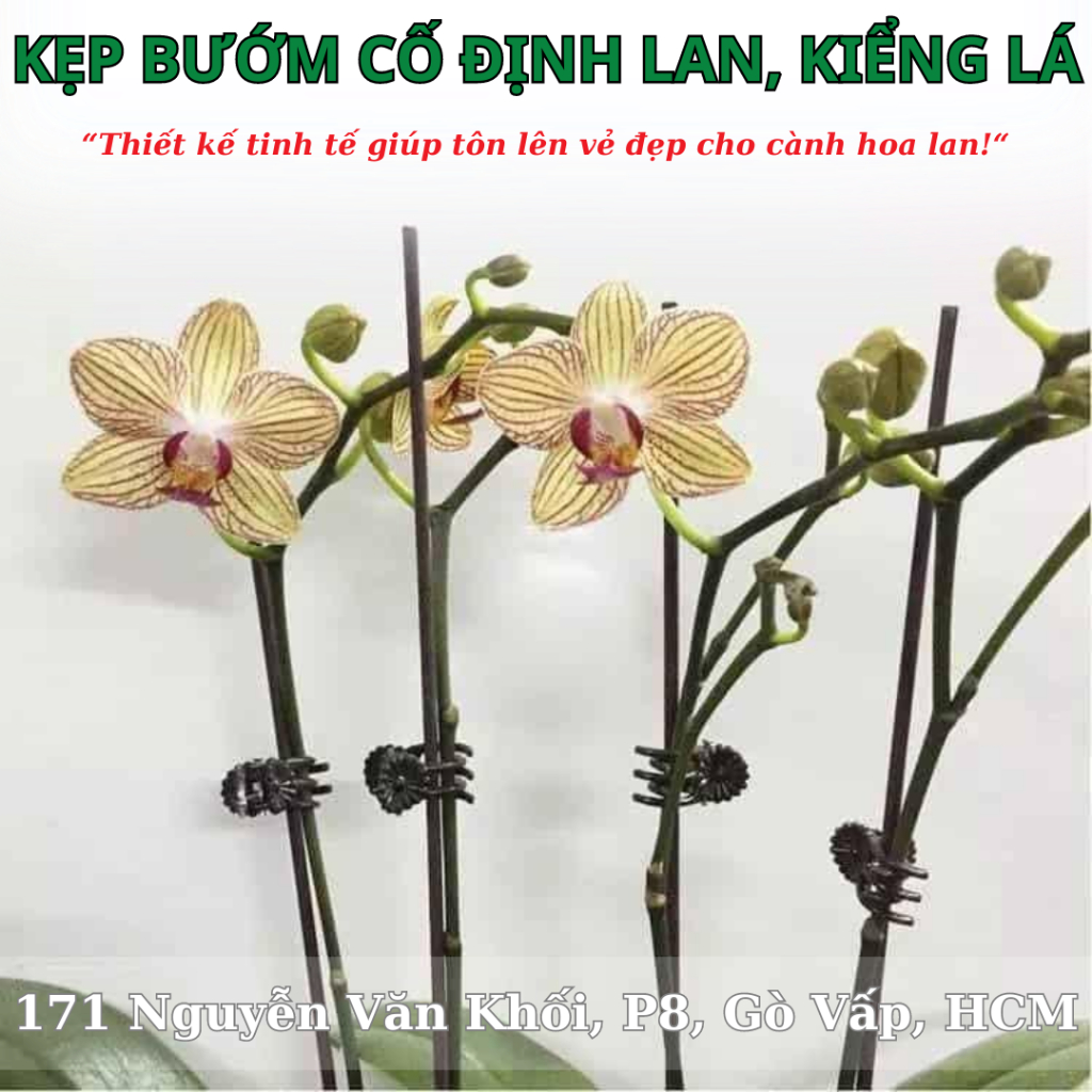 Kẹp bướm cố định cây hoa lan, kiểng lá 7