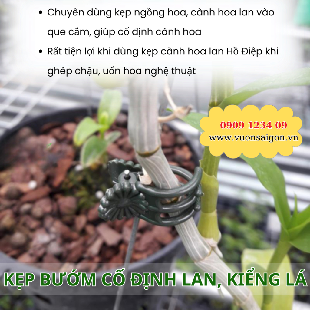 Kẹp bướm cố định cây hoa lan, kiểng lá 5