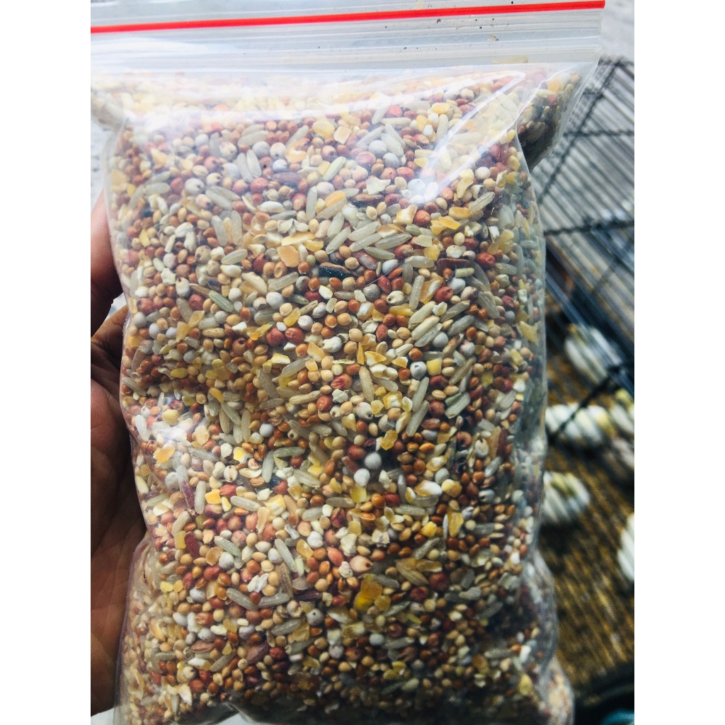 NGŨ CỐC GÀ, CHIM KHÔNG CÁM, LÚA 1KG | Shopee Việt Nam