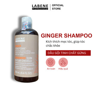 Dầu gội tinh chất gừng tươi Ginger Shampoo 250ml làm sạch da đầu chống rụng tóc &kích mọc tóc | LABENE