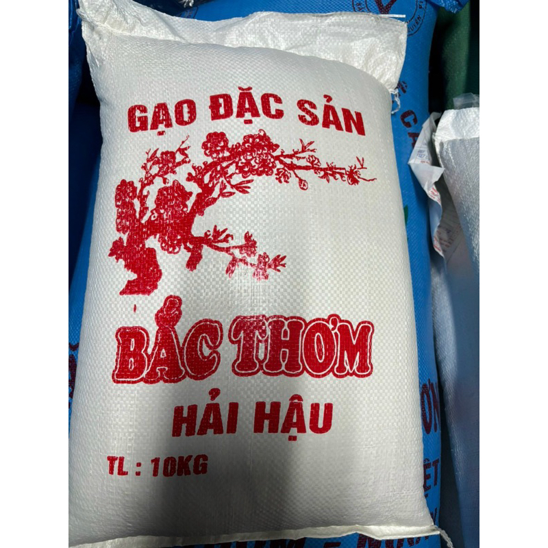 Gạo Tám Thơm Hải Hậu túi 5kg | BigBuy360 - bigbuy360.vn