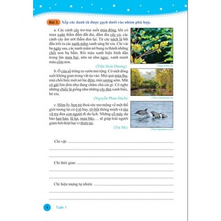 Sách - Vở Bài Tập Nâng Cao Từ Và Câu Lớp 4 - Biên Soạn Theo CT GDPT Mới - Bộ Cánh Diều - Ndbooks