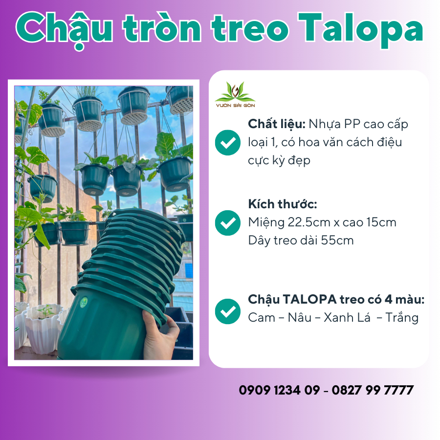TLP chậu treo tròn 2