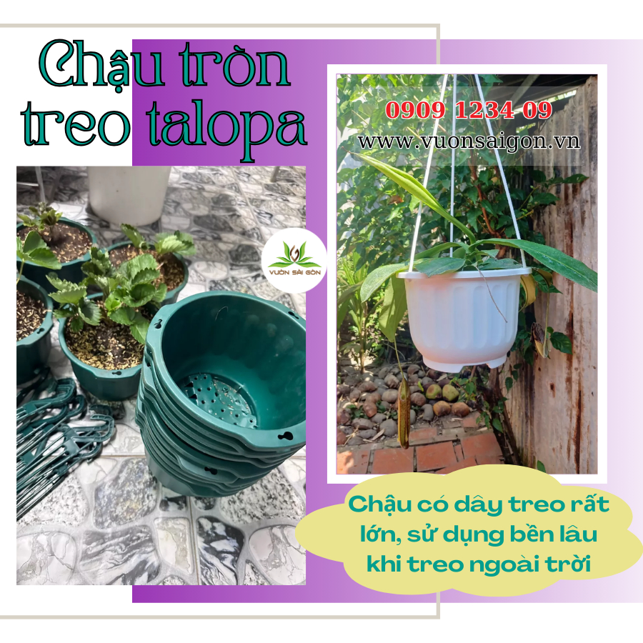 TLP chậu treo tròn 1