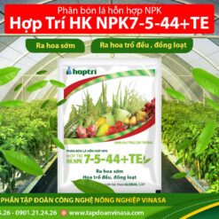 Phân bón lá HK 7-5-44+TE kích thích ra hoa, đậu trái 40gr - DINH DƯỠNG CÂY TRỒNG
