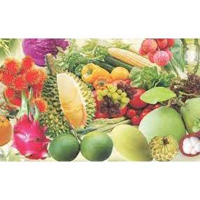 Phân bón lá HK 7-5-44+TE kích thích ra hoa, đậu trái 40gr - DINH DƯỠNG CÂY TRỒNG
