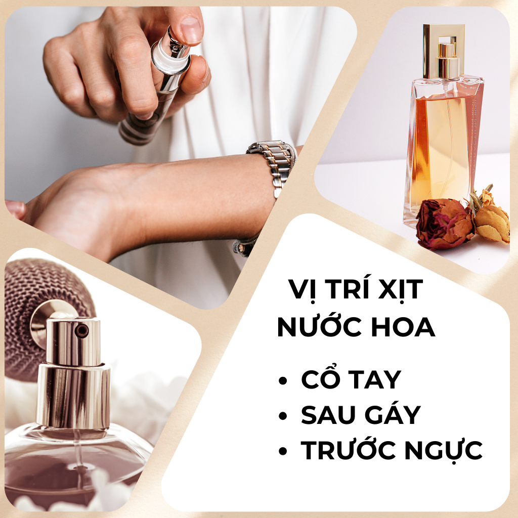 Nước hoa nam non The One EDP