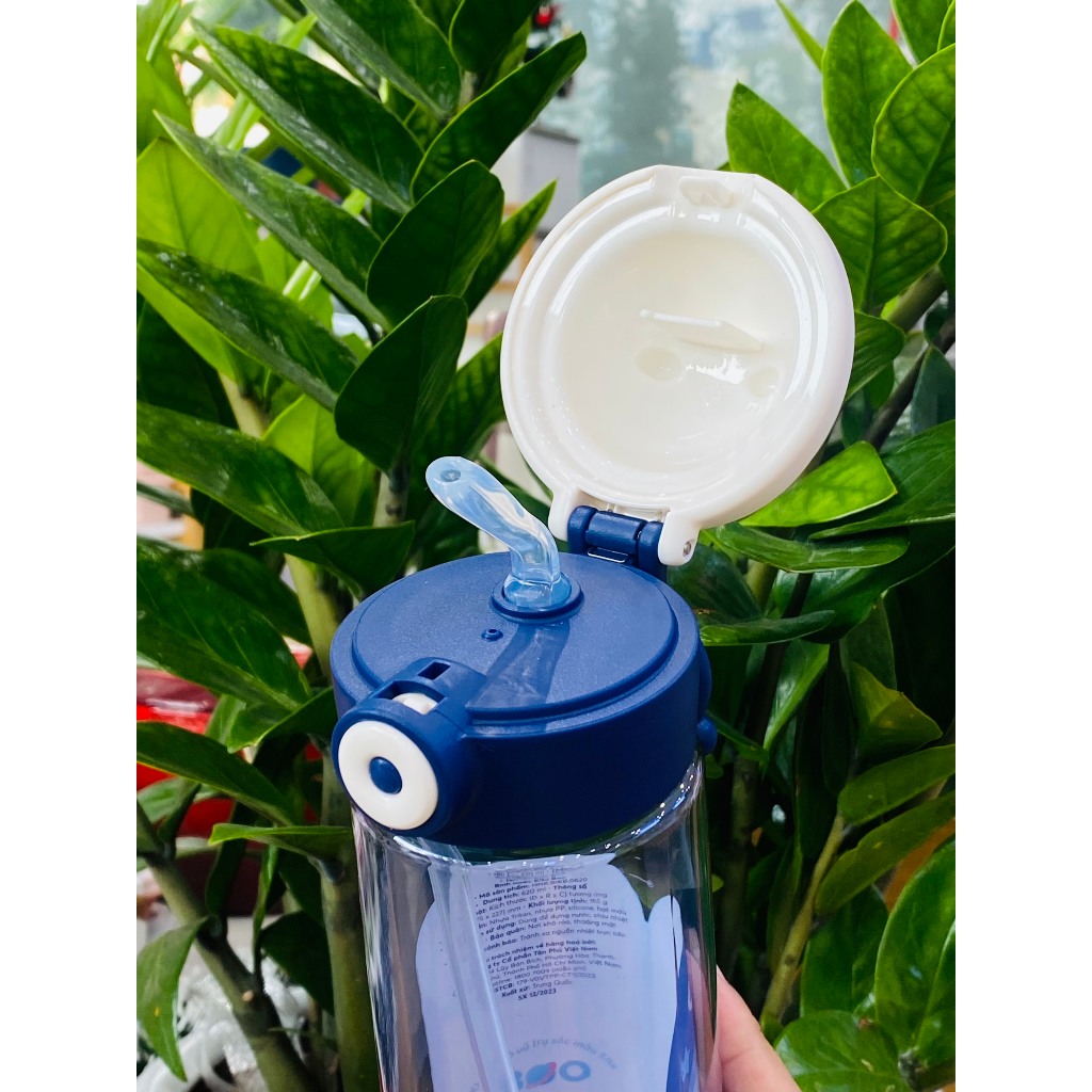 Bình nước Kita Boo INOCHI dung tích 480ml và 620ml dễ thương