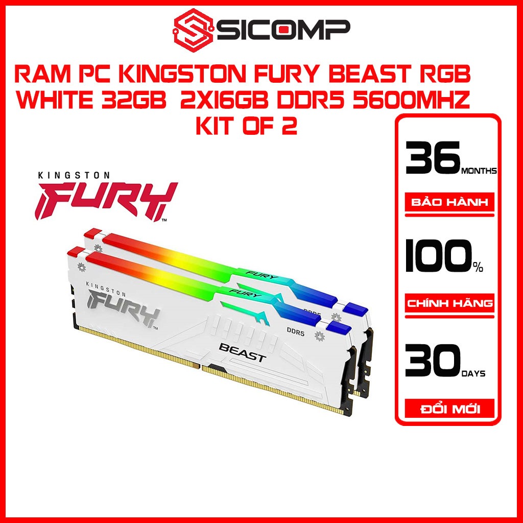Ram PC Kingston Fury Beast RGB White 32GB (2X16GB) DDR5 5600MHz Kit Bảo ...