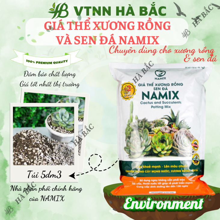 Giá Thể Xương Rồng và Sen Đá Namix - Tơi xốp, Thoáng khí, Giúp rễ phát triển mạnh và cây khỏe mạnh (5dm3)